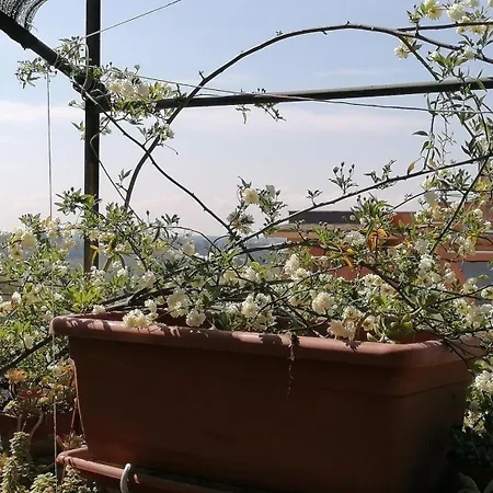 Claudia Nocleg ze śniadaniem *