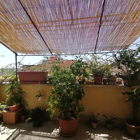 Claudia Bed & Breakfast *